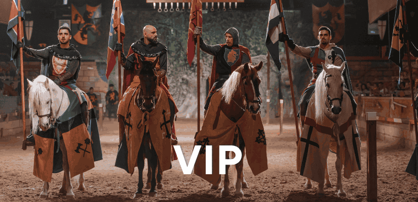 Ужин-шоу "Средневековый вызов» (VIP-Пасс) Magic Natura Animal, Waterpark Resort Бенидорме Ужин-шоу "Средневековый вызов» (VIP-Пасс) Magic Natura Animal, Waterpark Resort Бенидорме