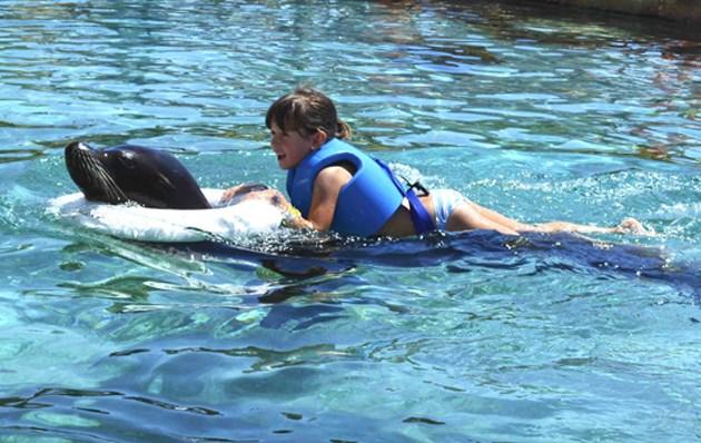 Interaction with with Sea Lions Magic Natura Animal, Waterpark Resort Бенидорме Interaction with with Sea Lions Magic Natura Animal, Waterpark Resort Бенидорме