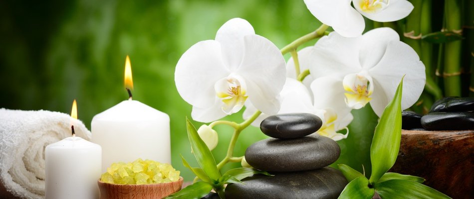Aromatic massage Magic Natura Animal, Waterpark Resort Бенидорме Aromatic massage Magic Natura Animal, Waterpark Resort Бенидорме