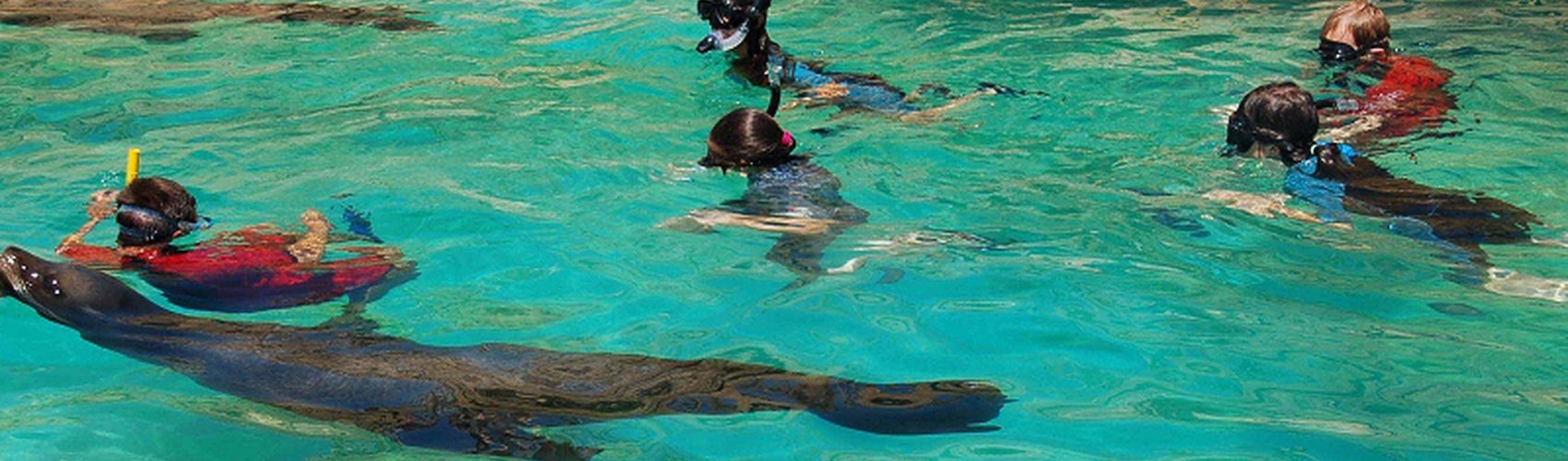 Magic Natura Animal, Waterpark Resort Бенидорме Magic Natura Animal, Waterpark Resort Бенидорме