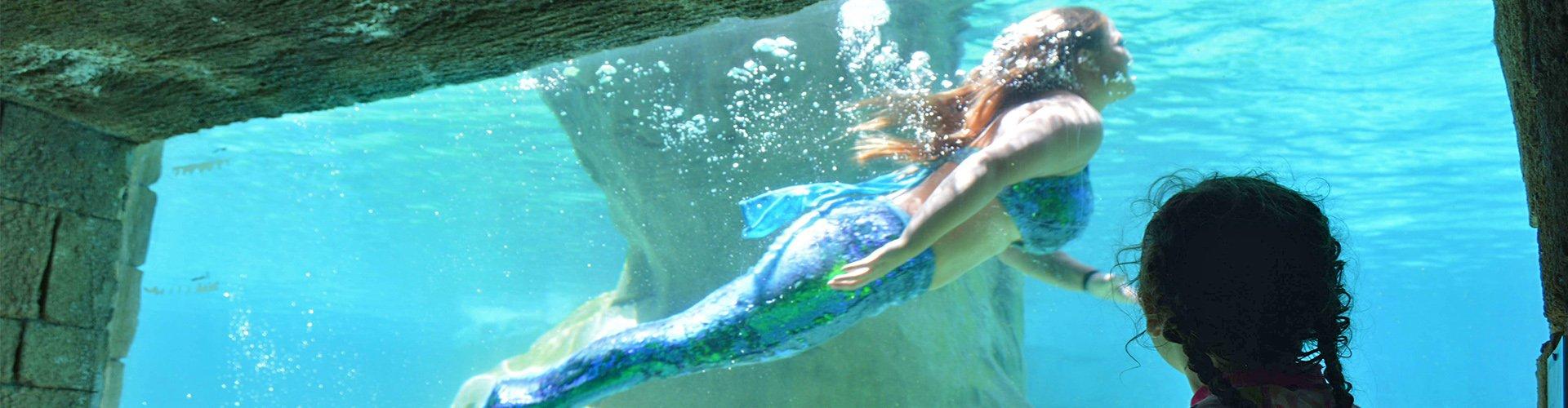 Magic Natura Animal, Waterpark & Polynesian Resort - Бенидорме - Magic Natura Animal, Waterpark & Polynesian Resort - Бенидорме -