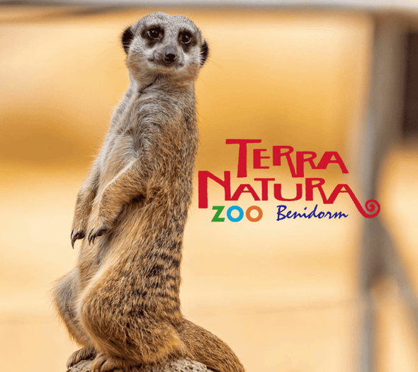 Magic Natura Animal, Waterpark Resort Бенидорме Magic Natura Animal, Waterpark Resort Бенидорме